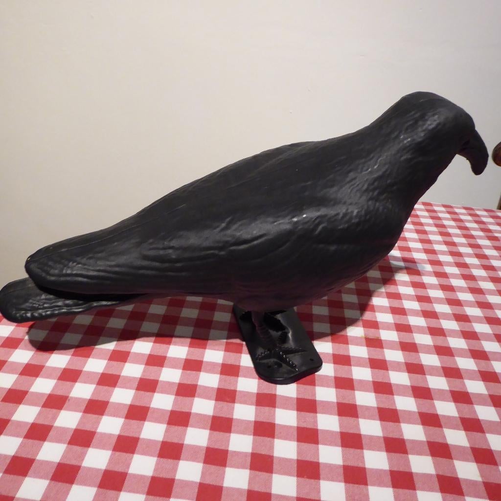 kraai, Ophalen of Verzenden, Overige typen