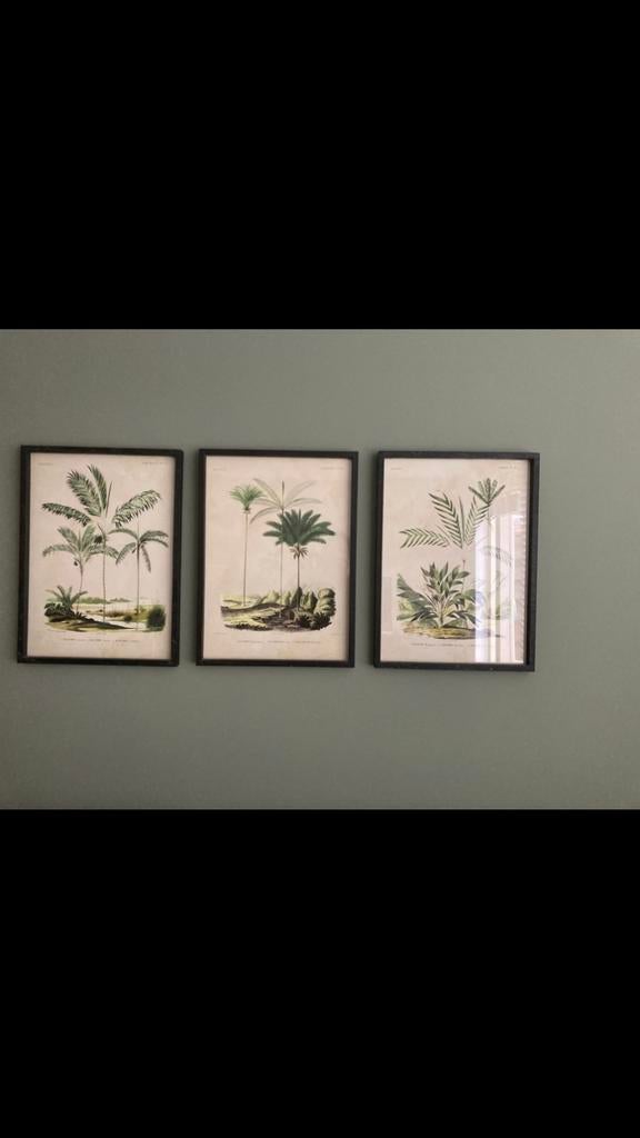 Wanddecoratie schilderij 3x 56x41, Ophalen, Zo goed als nieuw, Hout, Minder dan 50 cm