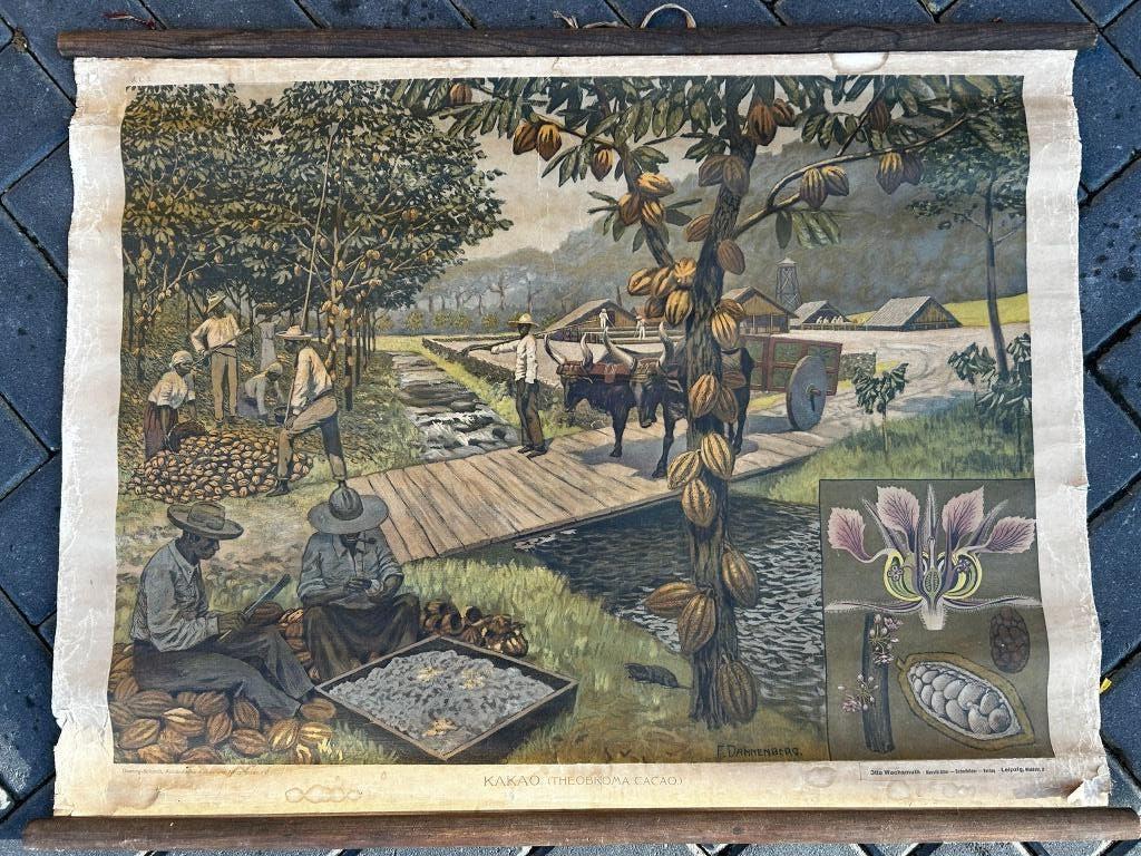 Schoolplaat 'cacaobereiding', Antiek en Kunst, Antiek | Schoolplaten, Ophalen of Verzenden, Aardrijkskunde
