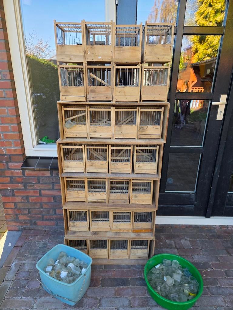 Zangkooitjes, Dieren en Toebehoren, Vogels | Hokken en Kooien, Ophalen, Hout, Vogelkooi