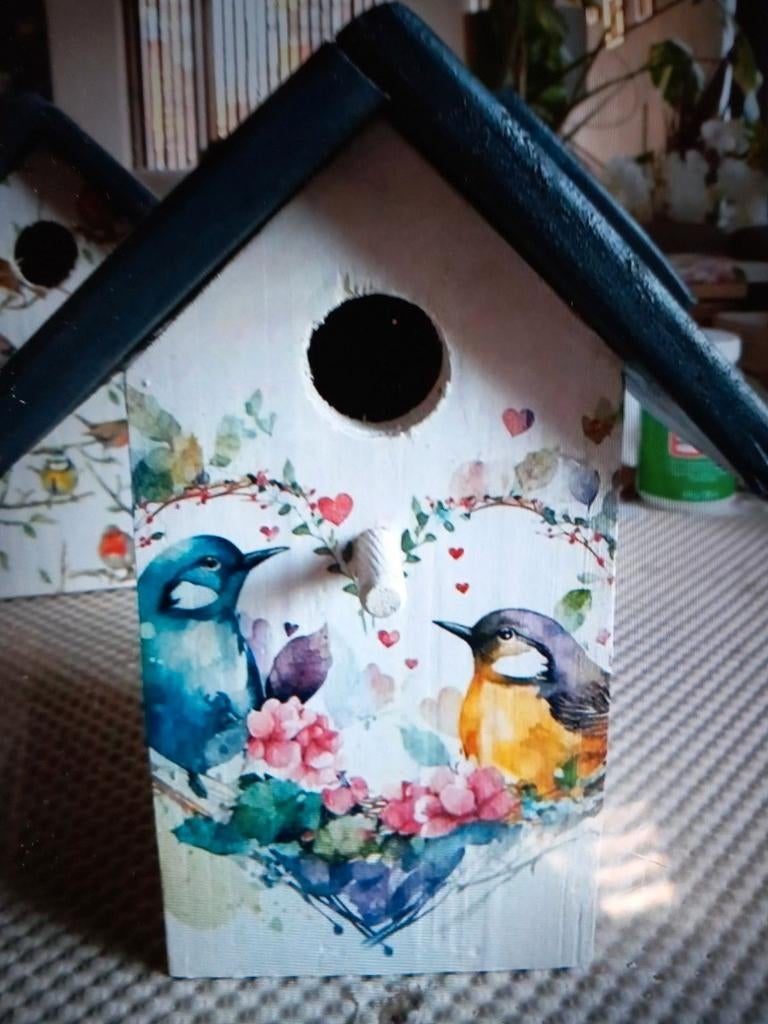 Gevraagt bastaarden kanaries, Dieren en Toebehoren, Vogels | Overige Vogels