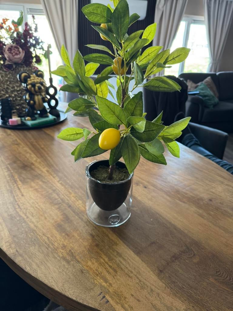 Riviera maison vaas met kunst citroen boompje, Overige kleuren, Ophalen of Verzenden, Minder dan 50 cm, Glas