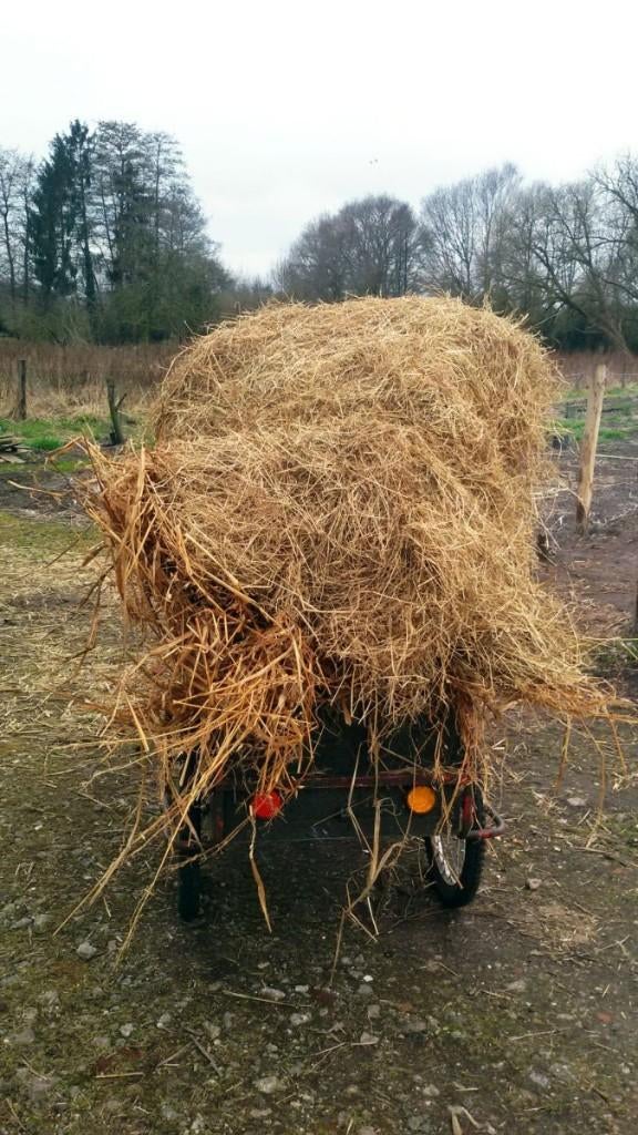 GEZOCHT oud (paarden)hooi voor de moestuin buurt Haulerwijk, Dieren en Toebehoren, Dierenvoeding, Ophalen, Vee