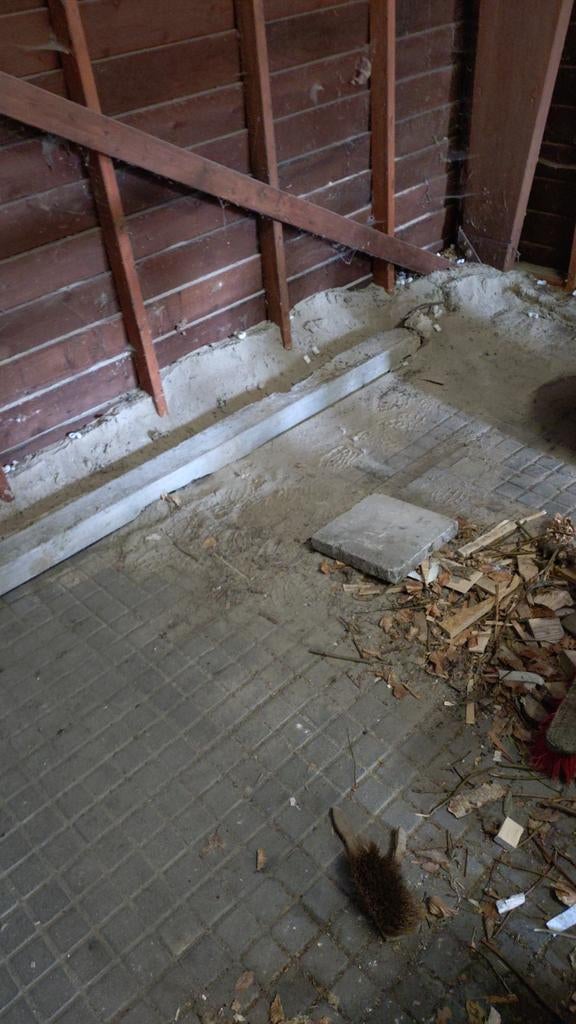 Gebruikte beton latei - Sterke draagbalk 250cm, Doe-het-zelf en Verbouw, Ophalen, Gebruikt, Balk, Overige houtsoorten