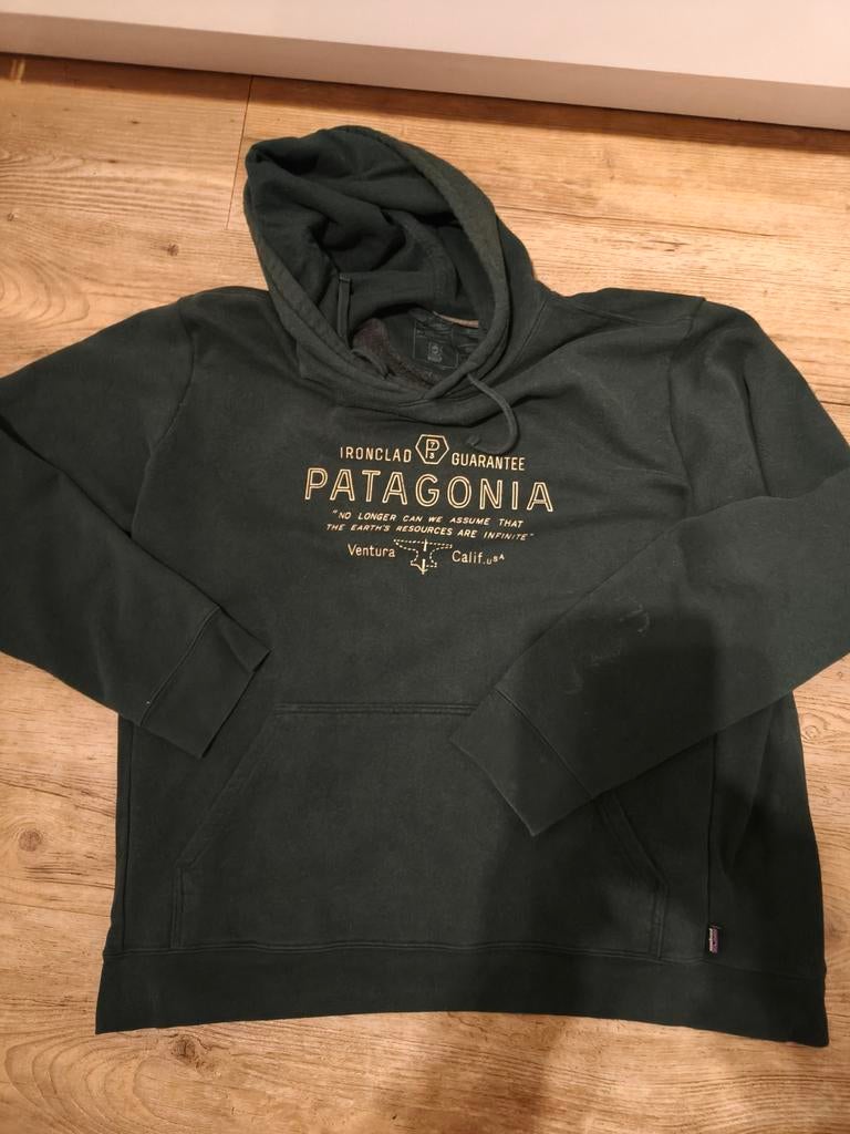 Patagonia Hoodie Groen - Maatxx l, Maat 52/54 (L), Ophalen of Verzenden, Patagonia, Gedragen