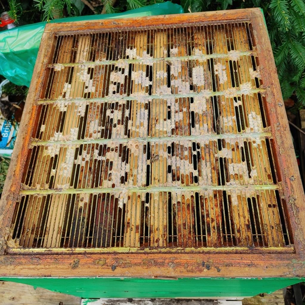 bijenkasten
Nederlandse simplex, Dieren en Toebehoren, Insecten en Spinnen