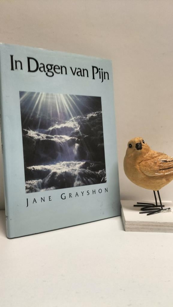 Grayshon, Jane; In dagen van pijn, Ophalen of Verzenden, Gelezen, Christendom | Protestants