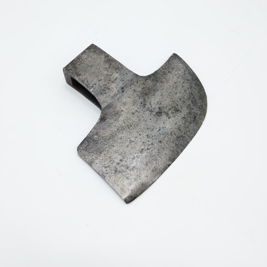 Kleine Rechtshandige Kantbijlkop (58071-11)