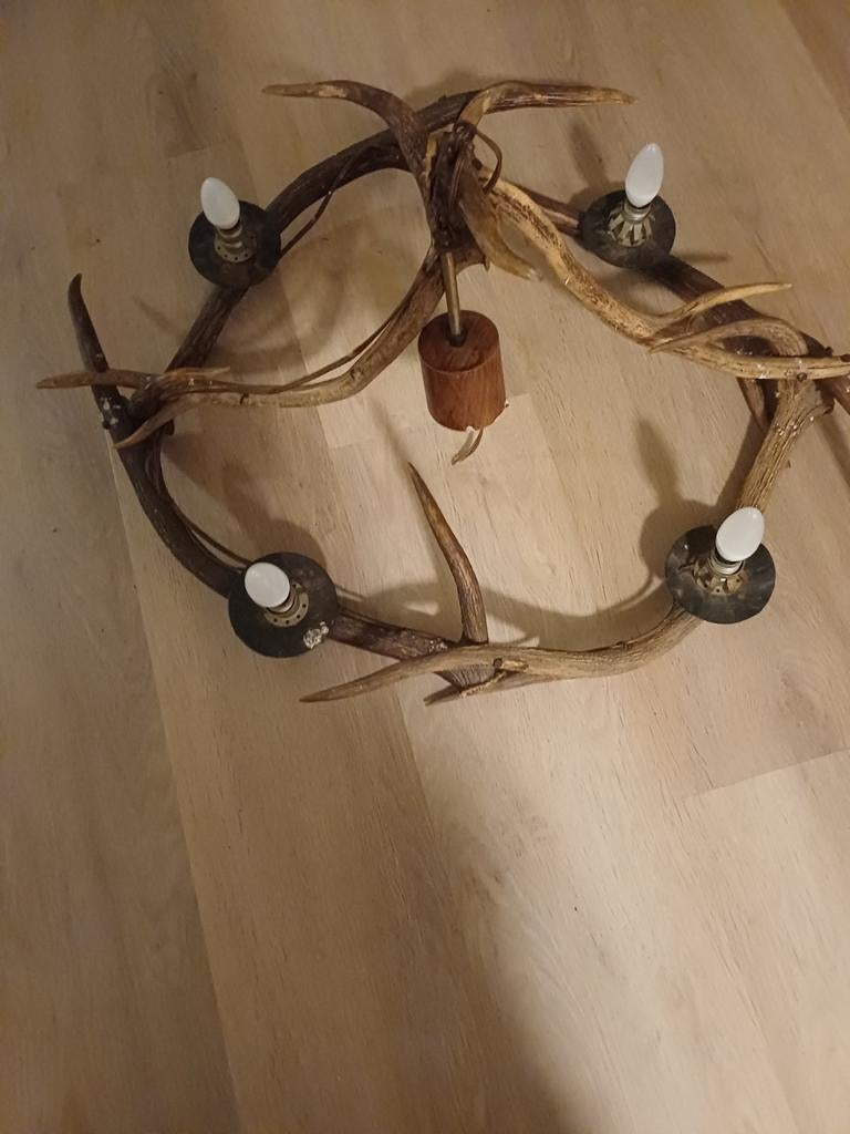 Unieke hertengewei lamp - sfeervolle verlichting, Gebruikt, Landelijk, Rustiek, Natuurlijk, Ophalen of Verzenden, Overige materialen