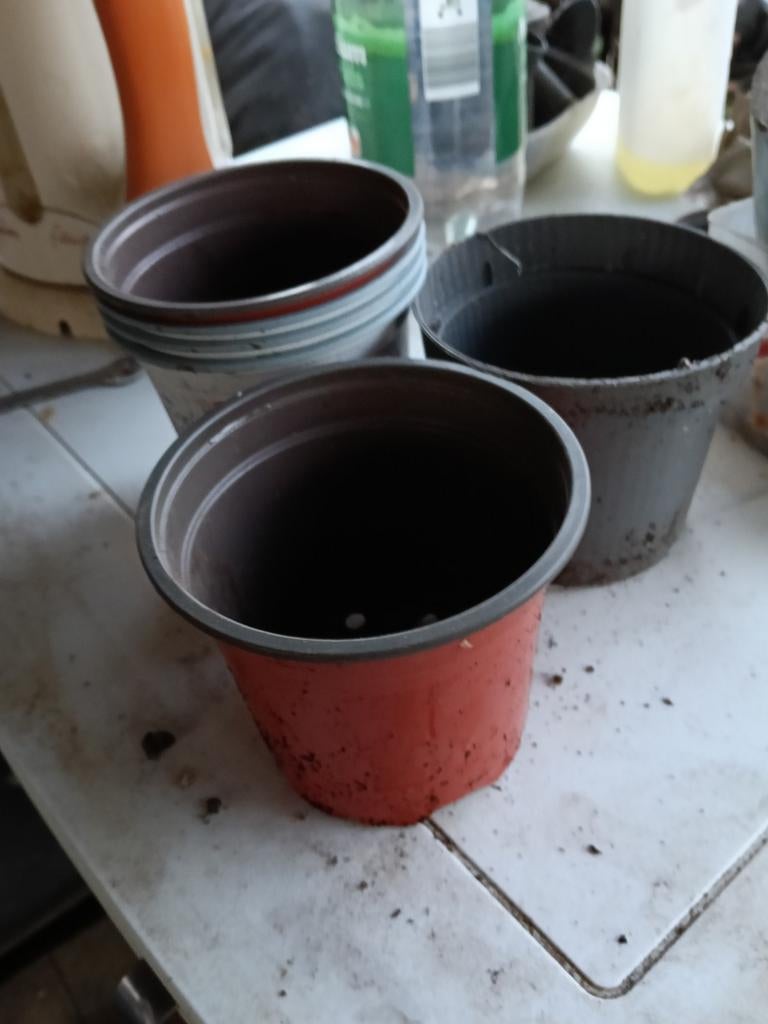 Lege Potjes en Potten gevraagd, Ophalen, Kunststof, Rond, Minder dan 40 cm