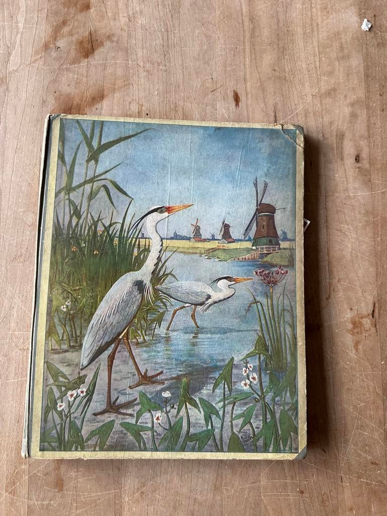 Verkade albums en natuurboeken - Diverse auteurs, Boeken, Ophalen of Verzenden, Gelezen, Natuur algemeen
