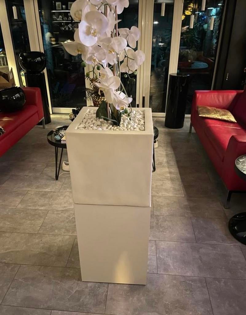 Witte plantenbak zuil - Stijlvol voor binnen & buiten, 25 tot 40 cm, Kunststof, Vierkant, Binnen