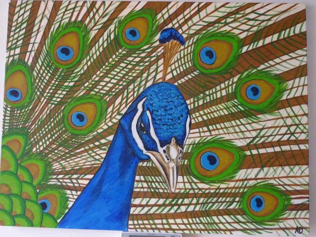 Pauw, Ophalen of Verzenden