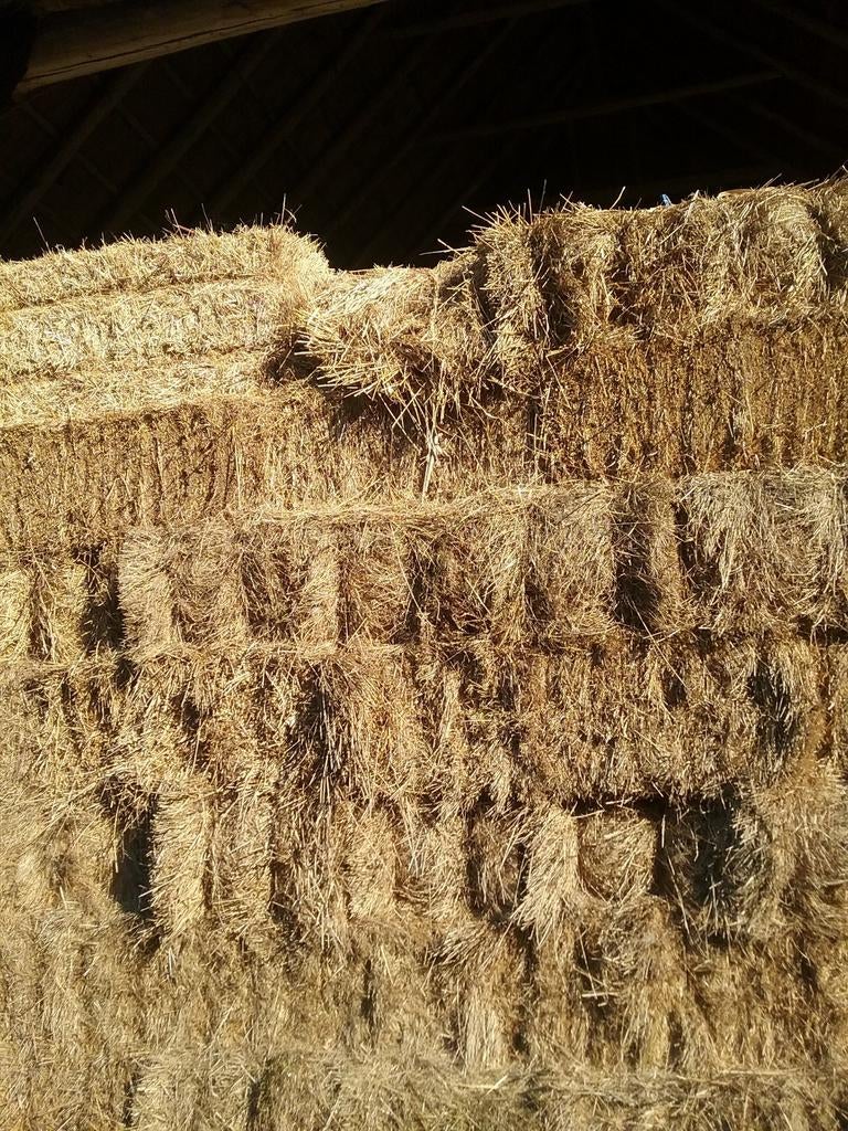 Pakjes hooi, Dieren en Toebehoren, Dierenvoeding, Ophalen, Vee