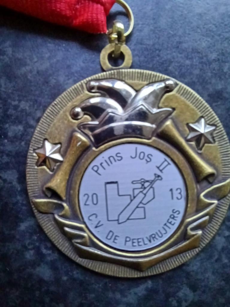 Carnavals medaille onderscheiding CV De Peelvrujters 2013, Ophalen, Overige materialen, Nederland
