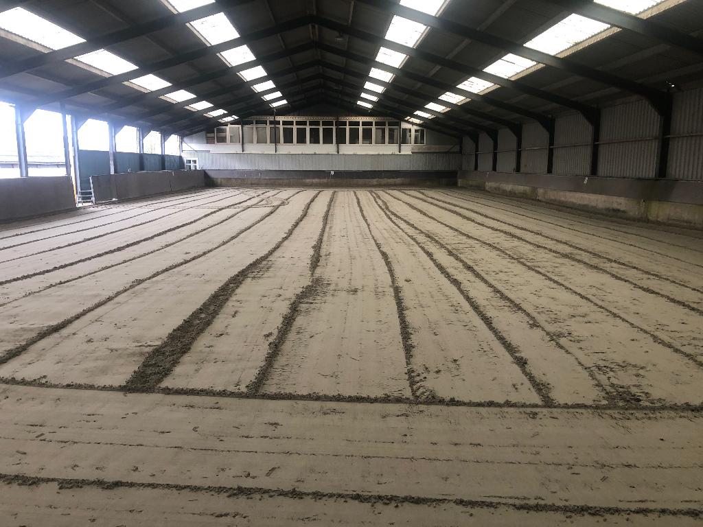 Paardenstalling, Weidegang