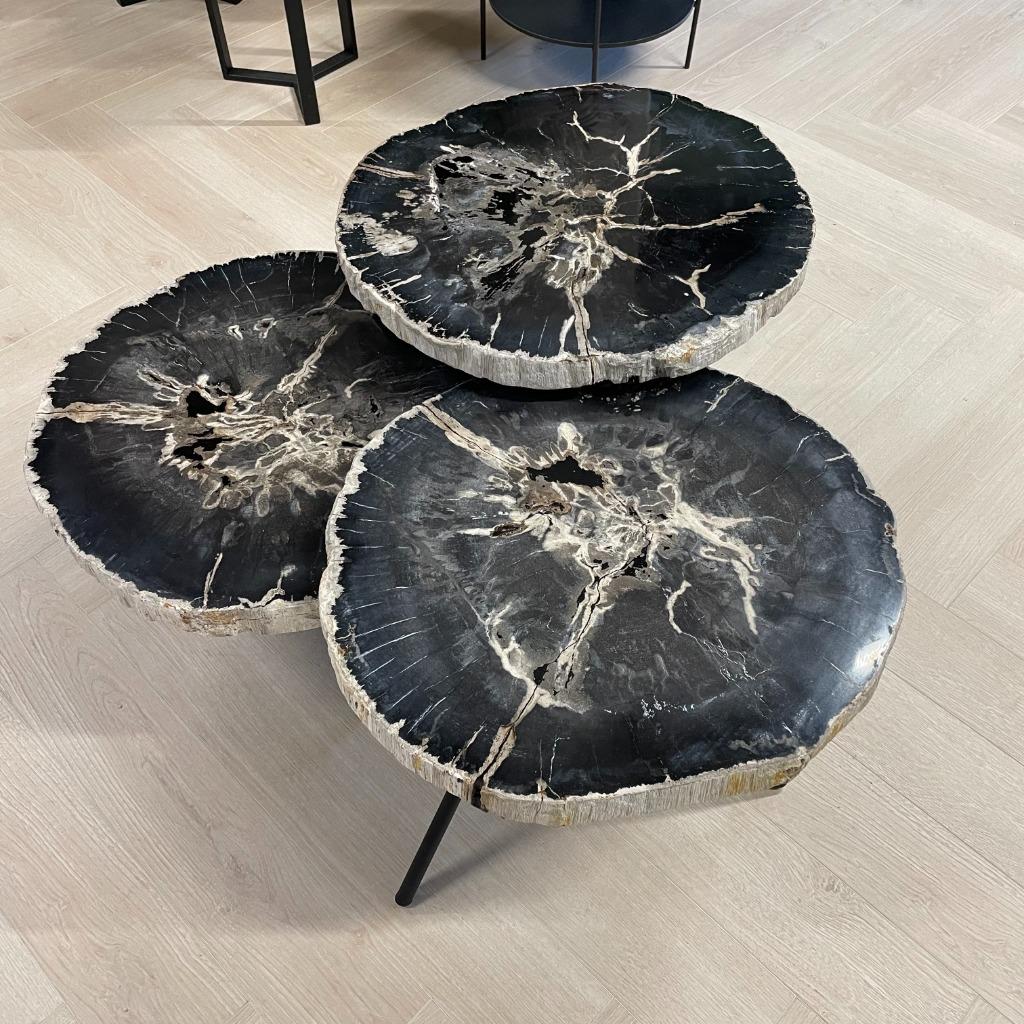 Versteend Hout Salontafels - Munker interiors, Huis en Inrichting, Tafels | Salontafels, Ophalen, Nieuw, 50 tot 100 cm, Minder dan 50 cm