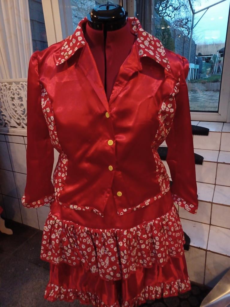 Blouse en rokje, Ophalen of Verzenden, Zo goed als nieuw, Maat 38/40 (M), Carnaval