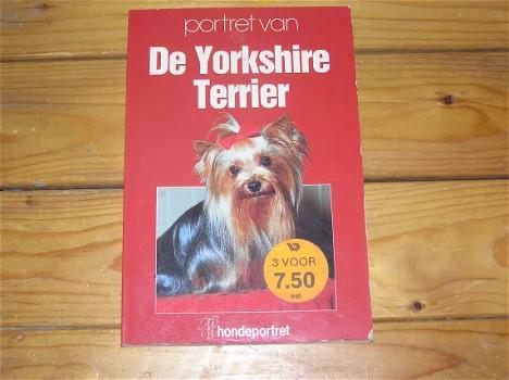 Portret van De Yorkshire Terrier., Ophalen of Verzenden, Gelezen, Honden