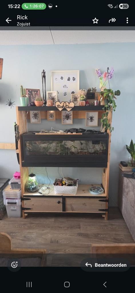 Complete terrarium setup, Ophalen, Zo goed als nieuw, Terrarium of Paludarium