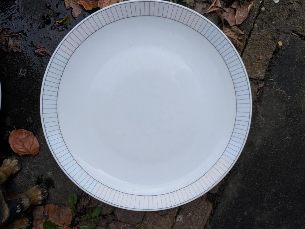 Nette Arzberg 9 diner en 8 diepe borden, Gebruikt, Ophalen of Verzenden, Bord(en), Overige stijlen