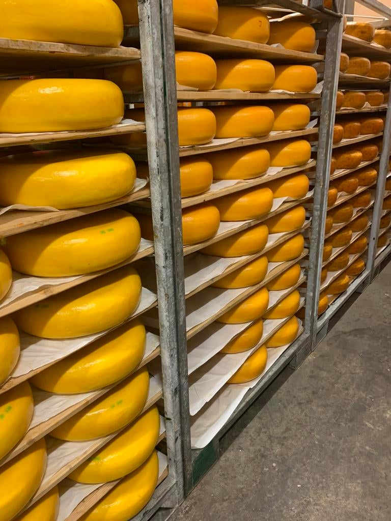 Diverse goudse kazen, Ophalen of Verzenden