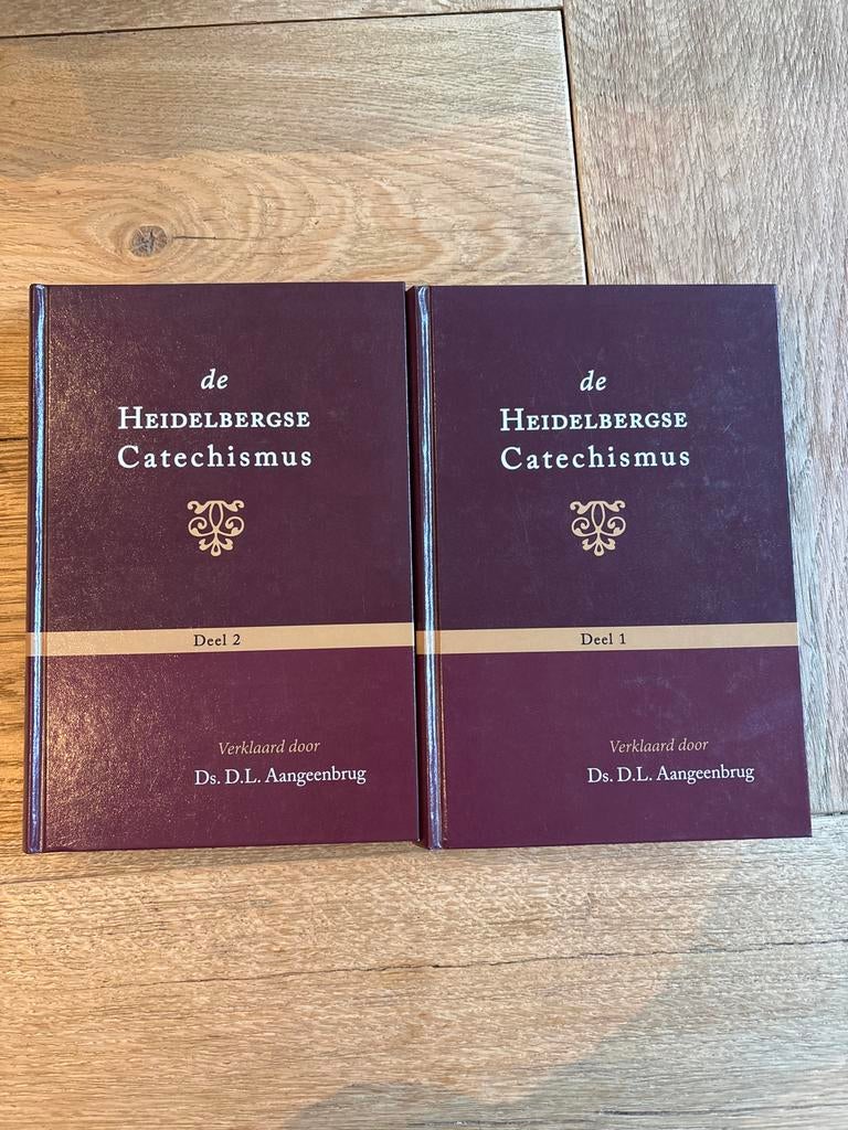De Heidelbergse Catechismus - Ds. D.L. Aangeenbrug, Ophalen of Verzenden, Zo goed als nieuw, Christendom | Protestants