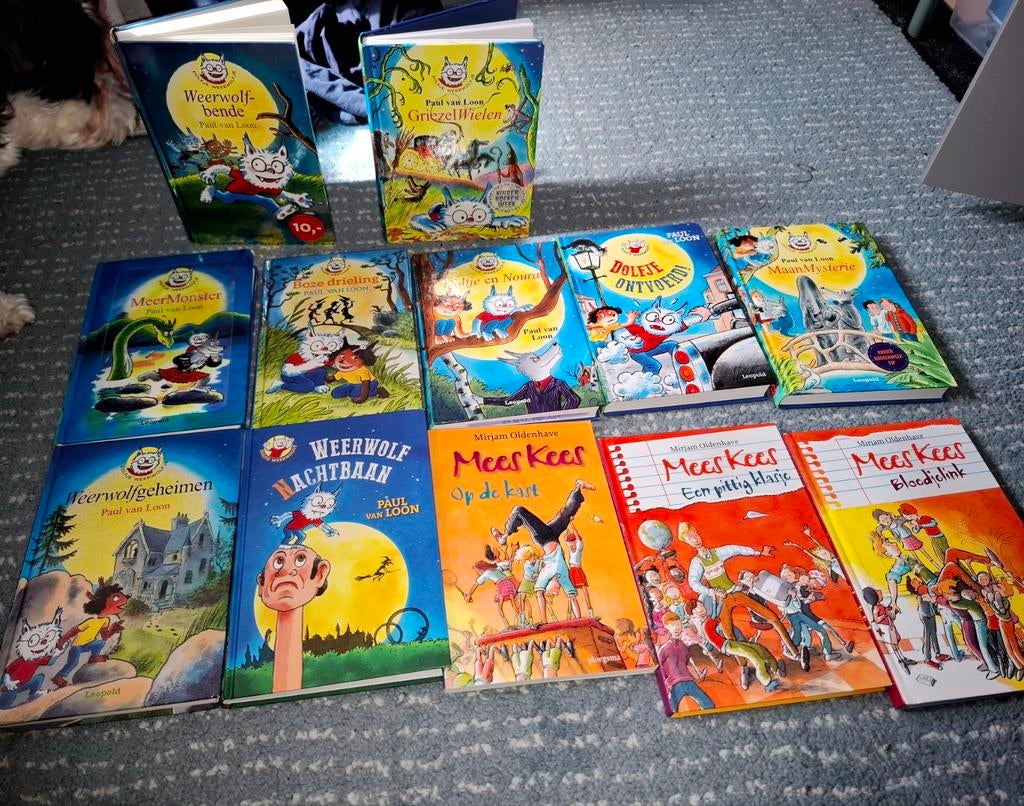 Boeken voor kinderen basisschool, Ophalen of Verzenden, Zo goed als nieuw, Fictie algemeen