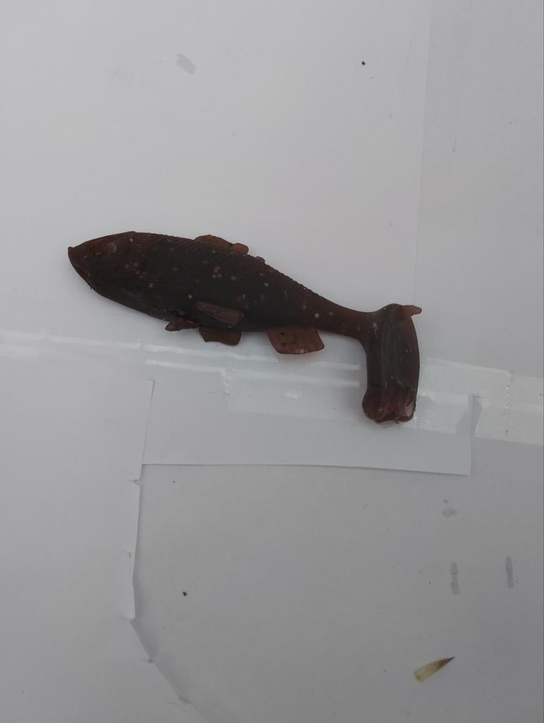 Softbait, Verzenden, Gebruikt, Overige typen