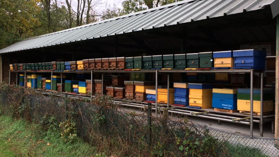 Gezocht bijenvolken, Tickets en Kaartjes, Musea, Eén persoon, Ticket of Toegangskaart