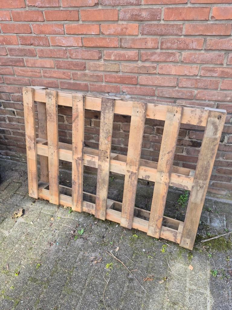Gatis Pallet - Ideaal voor diverse projecten, Ophalen, Gebruikt, 50 mm of meer, Pallet