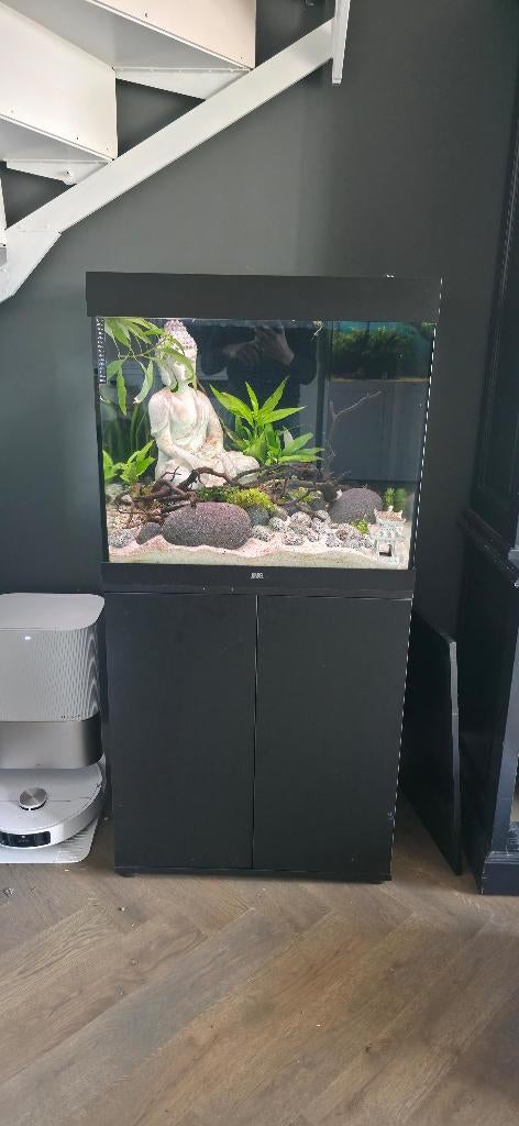 Juwel LIDO 200 - Chihiros verlichting - Intern filter, Ophalen, Gebruikt, Leeg aquarium, Inclusief deksel