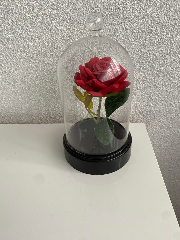 Rode roos in glazen stolp, Ophalen of Verzenden, Gebruikt