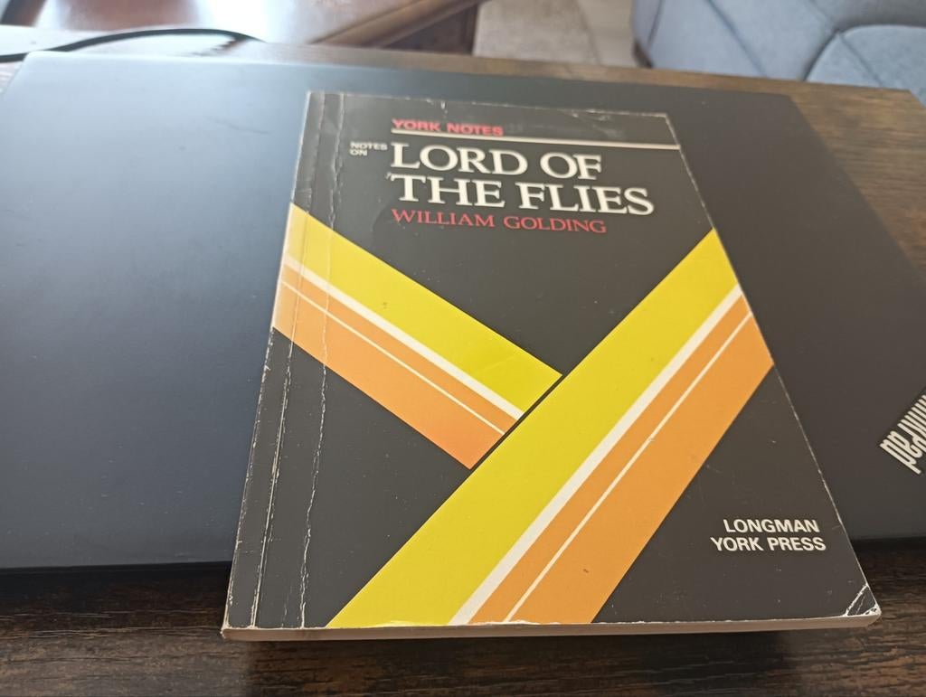 Boek William Golding York Notes Notes on Lord of the Flies, Gelezen, Wereld overig, Ophalen of Verzenden, William Golding