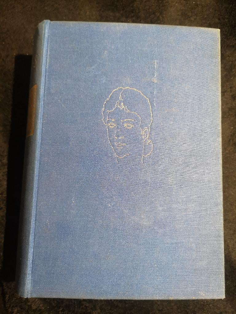 Johan Fabricius, Kasteel in Karinthië, Boeken, Ophalen of Verzenden, Gelezen