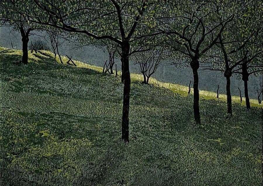 1306. Houtsnede, Grietje Postma – boslandschap, 1989, Ophalen of Verzenden