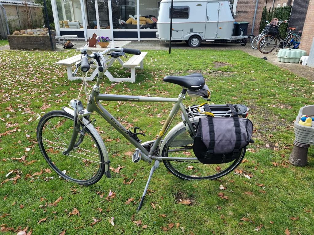 Gazelle Medeo fiets met versnellingen en fietstassen, Ophalen, Versnellingen, Gazelle, 53 tot 56 cm