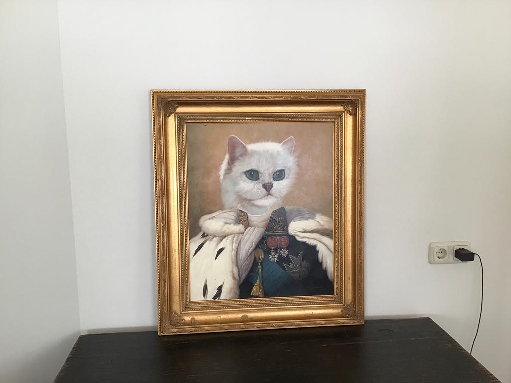 Schilderij met Kat, Ophalen, Nieuw, 75 cm of meer, 50 tot 75 cm