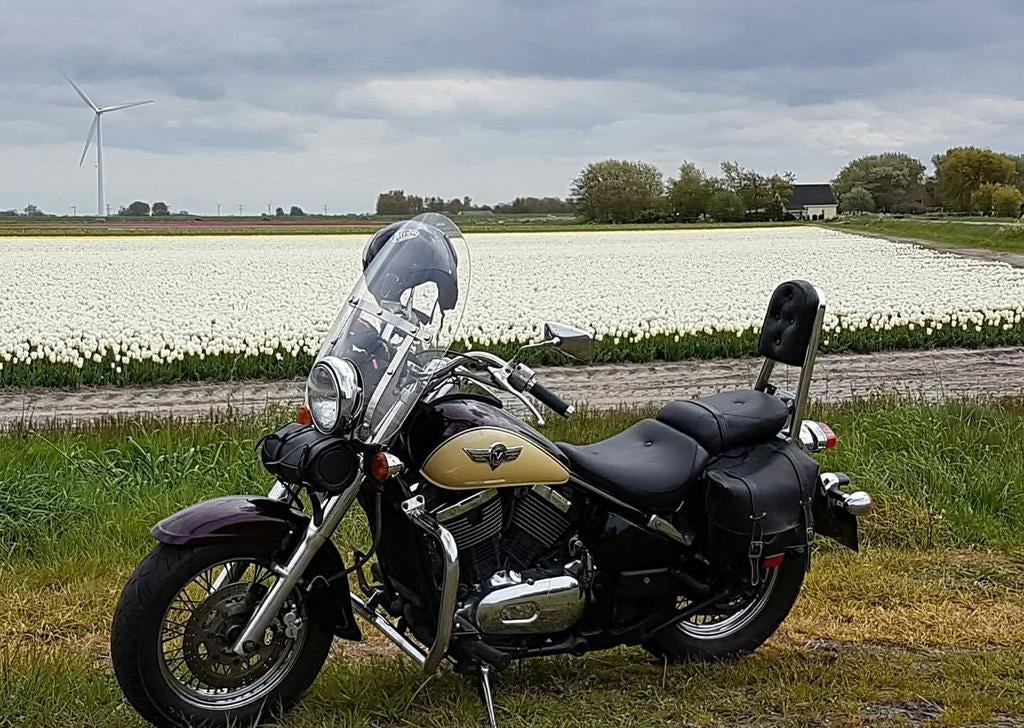 Kawasaki Vulcan vn800 classic