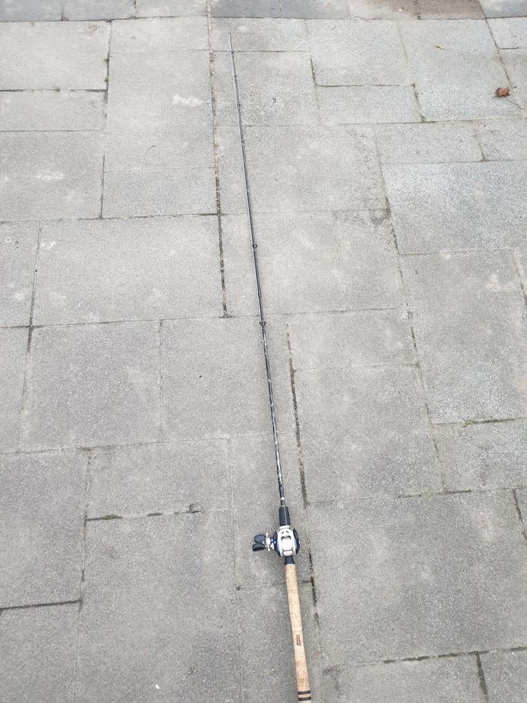 Baitcaster met reeltje, Watersport en Boten, Hengelsport | Roofvissen, Ophalen, Gebruikt, Werphengel