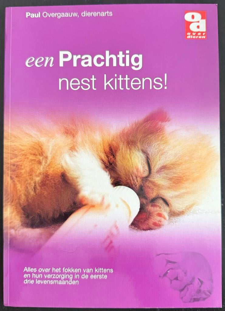 Boek : Een Prachtig nest kittens!, Ophalen of Verzenden, Gelezen, Katten