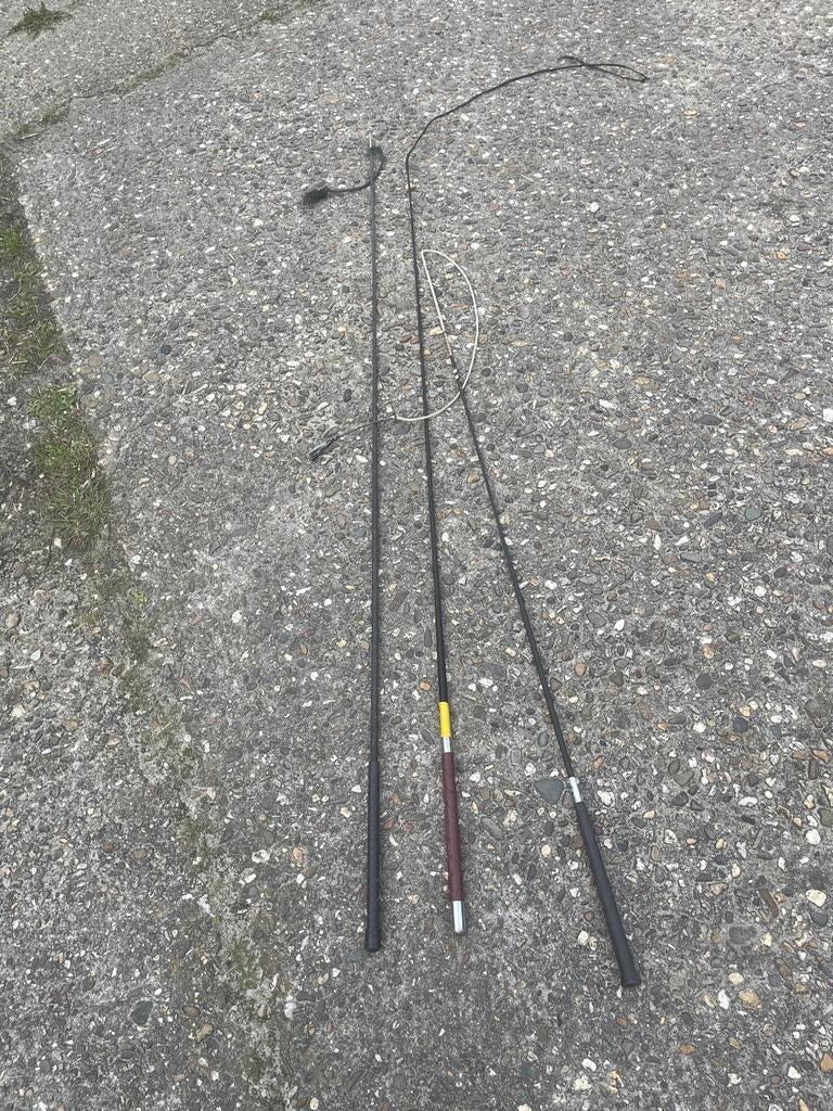 Paardenzweep, Ophalen of Verzenden, Overige soorten