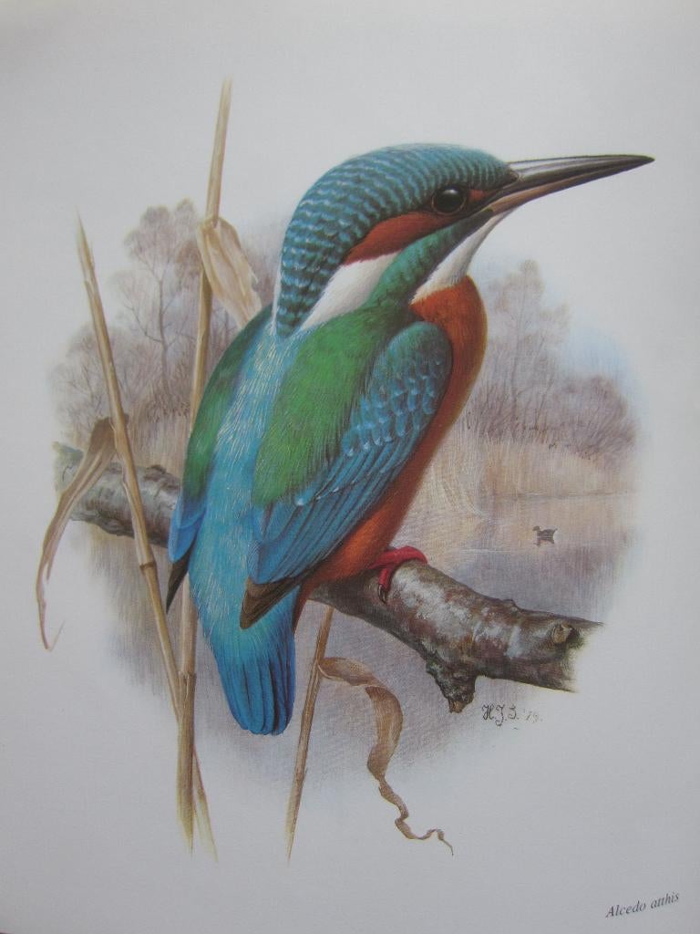 PERMIN OF COPENHAGEN VOGELS VD KALENDER BORDUURPATROONEN, Ophalen of Verzenden, Zo goed als nieuw, Handborduren, Patroon