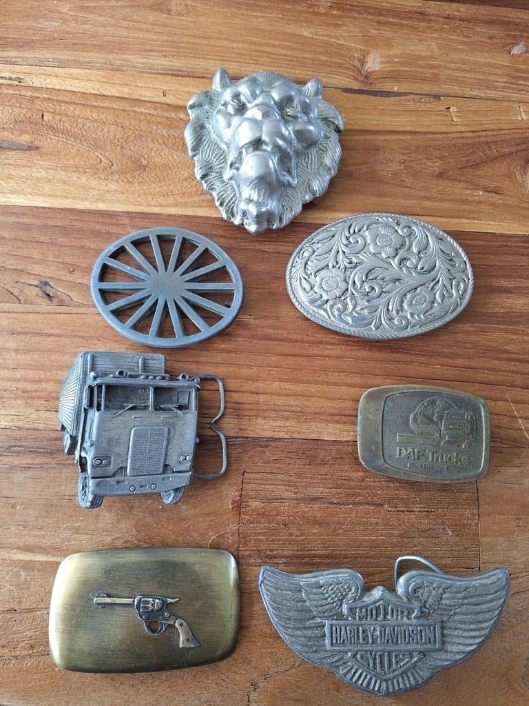 Verzameling  gespen, Ophalen of Verzenden, Zo goed als nieuw, Overige kleuren