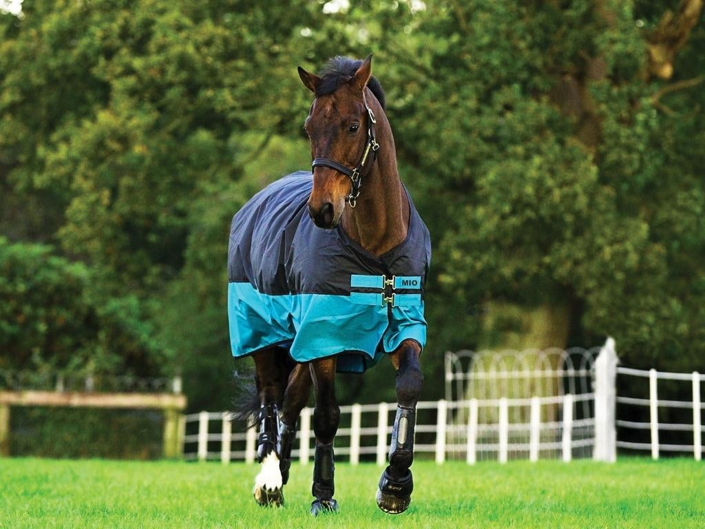 Horseware Mio Medium 200gr, 160, 168, 175, 183, 191, 206, Ophalen of Verzenden, Nieuw, Deken