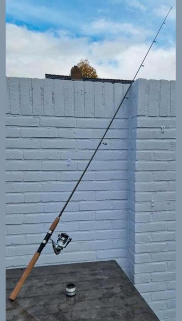 Complete Roofvishengel Set - Daiwa Molen Z.G.A.N., Watersport en Boten, Ophalen, Zo goed als nieuw, Complete set