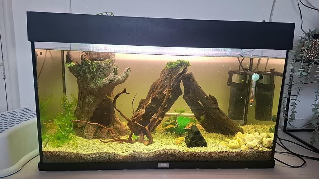 Juwel 120 liter aquarium, Ophalen, 100 cm of meer, 50 Hz, Overige merken