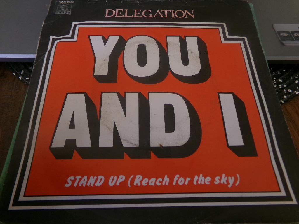 Delegation ‎– You And I / Stand Up (Reach For The Sky), Ophalen of Verzenden, Gebruikt, Overige genres