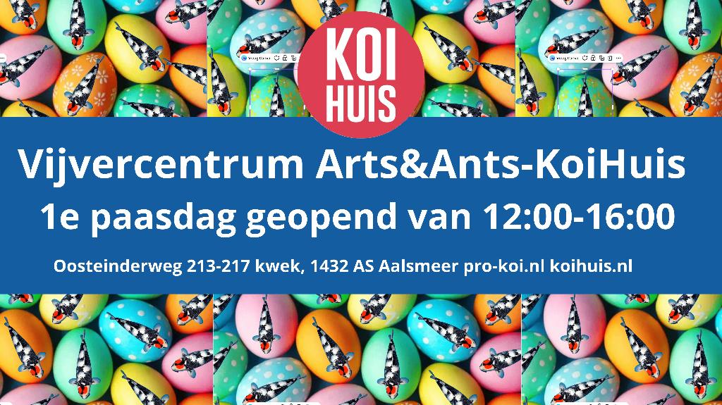 Japanse koi winkel 1e paasdag open, Karper of Koi