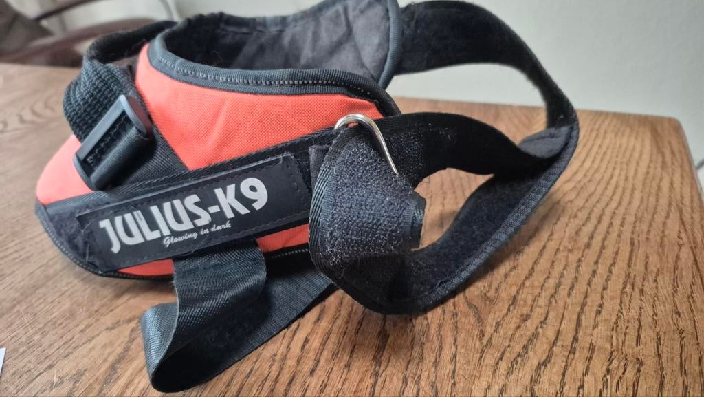 Julius tuig middelgrote hond, Ophalen of Verzenden